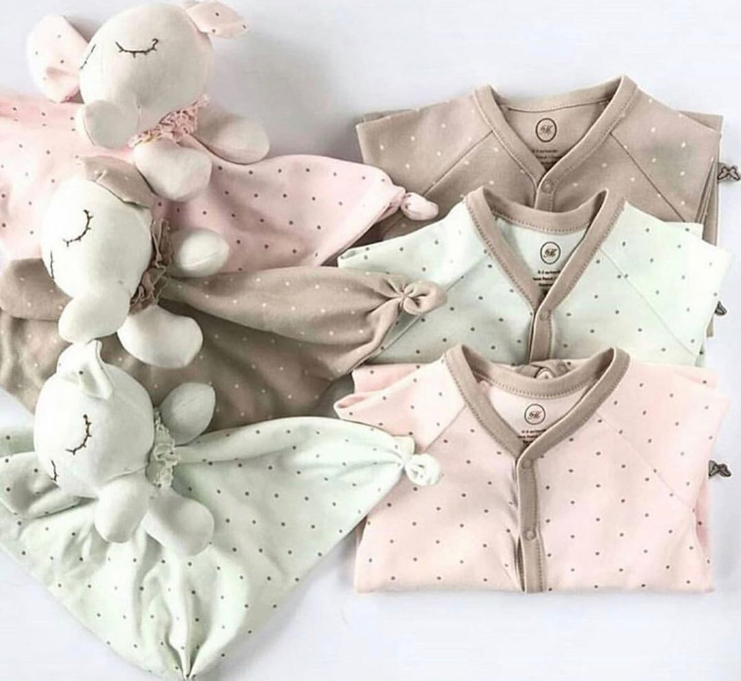 CHARLOTTE COLLECTION