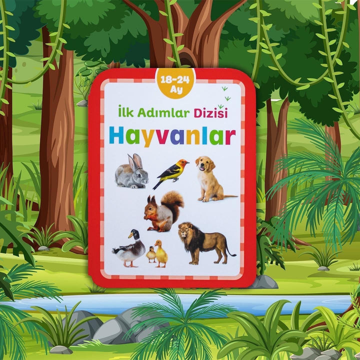 HAYVANLAR 18-24 AY İLK ADIMLAR