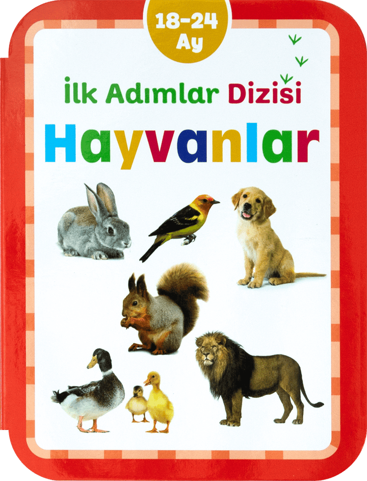 HAYVANLAR 18-24 AY İLK ADIMLAR