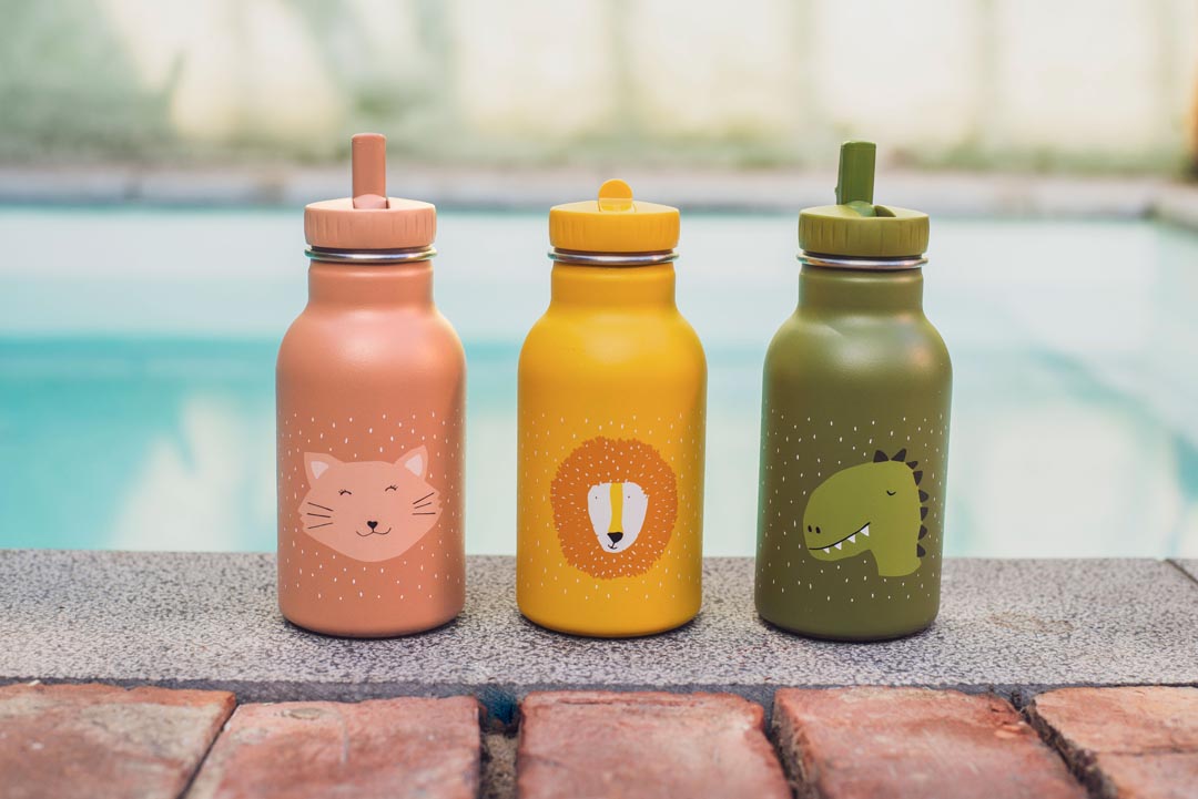 TRIXIE BOTTLE 350ml MR. LION