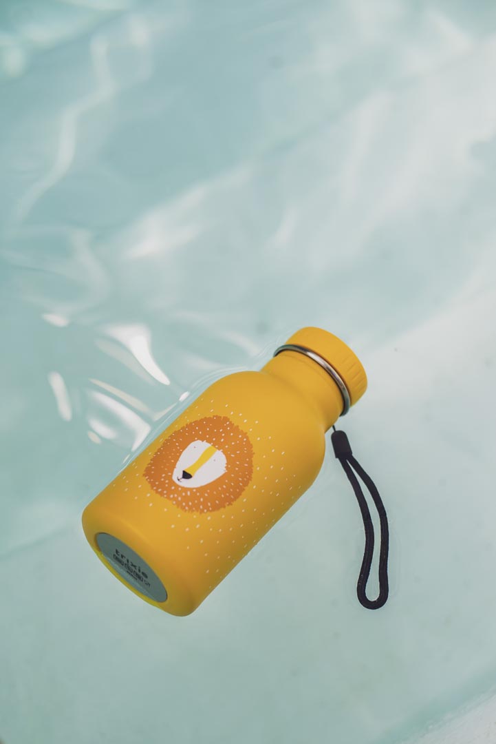 TRIXIE BOTTLE 350ml MR. LION