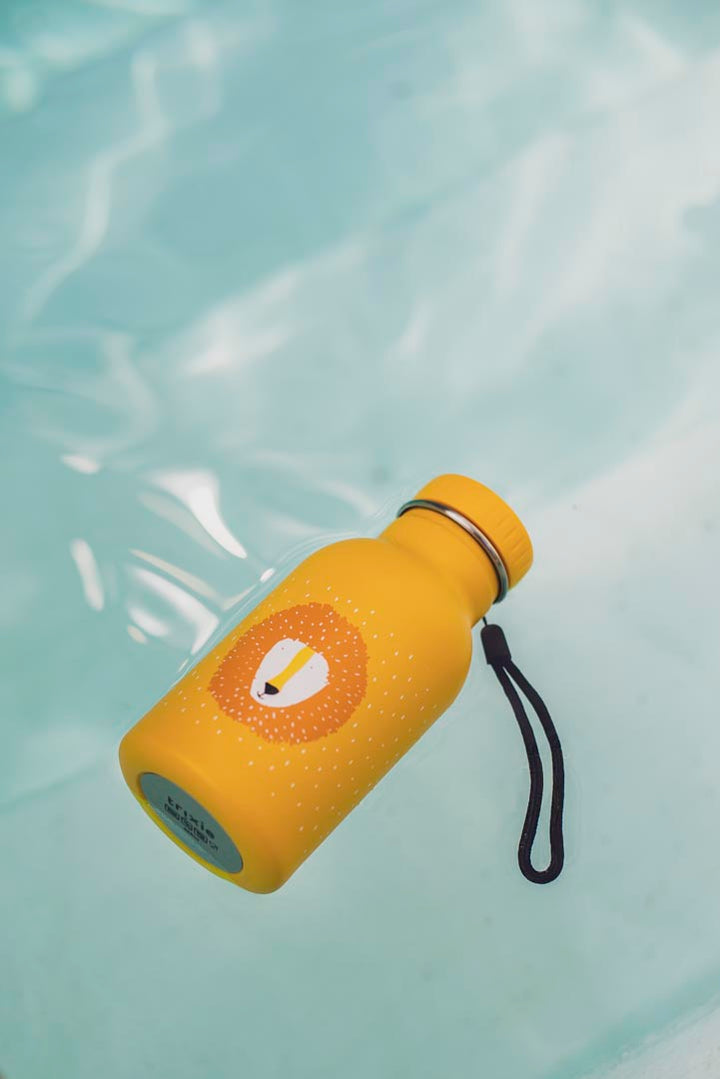 TRIXIE BOTTLE 350ml MR. LION