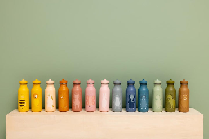TRIXIE BOTTLE 500ml MR. DRAGON