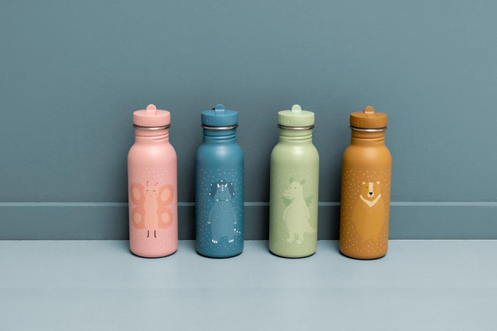 TRIXIE BOTTLE 500ml MR. DRAGON