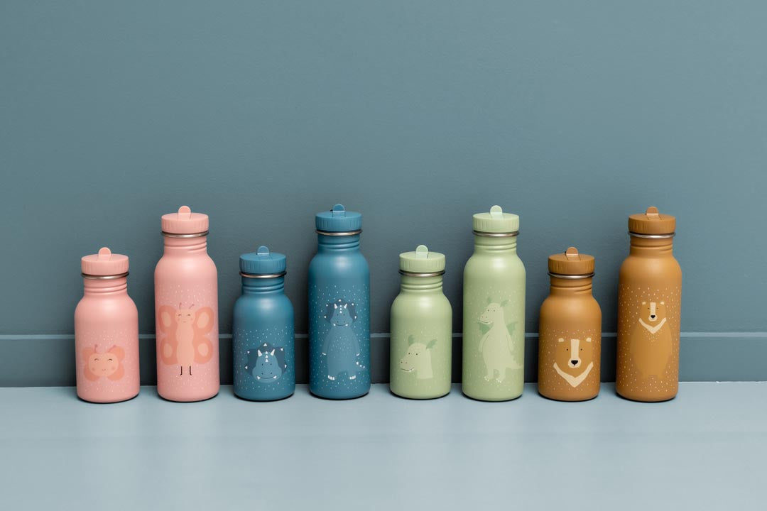TRIXIE BOTTLE 500ml MR. DRAGON