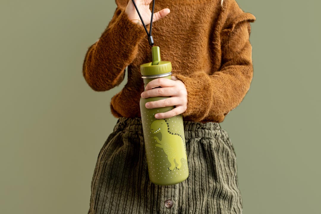 TRIXIE BOTTLE 500ml MR. DINO