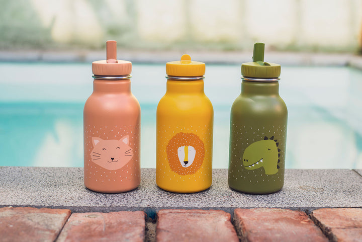 TRIXIE BOTTLE 350ml MR. DINO