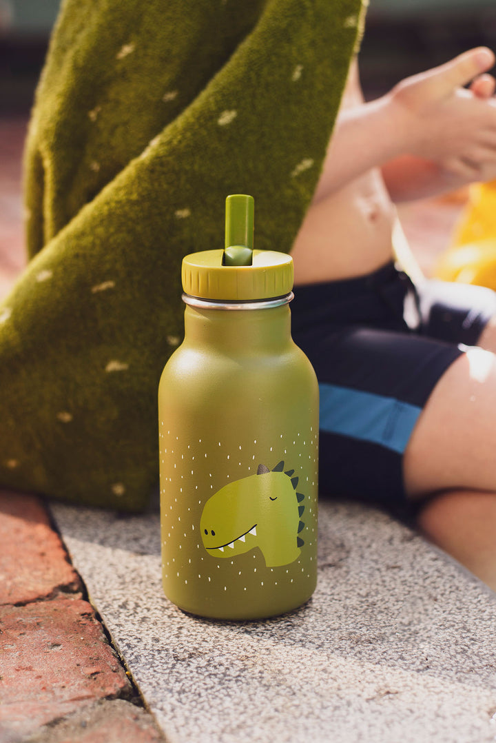 TRIXIE BOTTLE 350ml MR. DINO