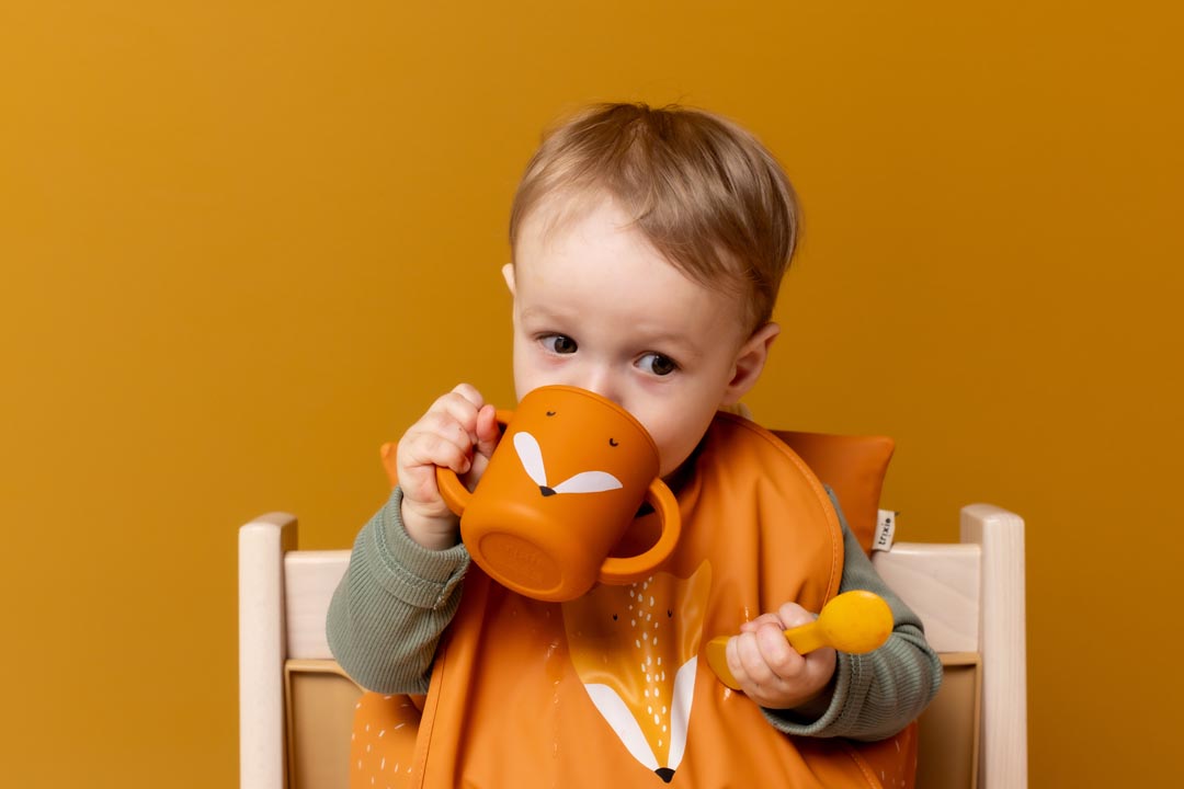 TRIXIE SILICONE SIPPY CUP MR. FOX