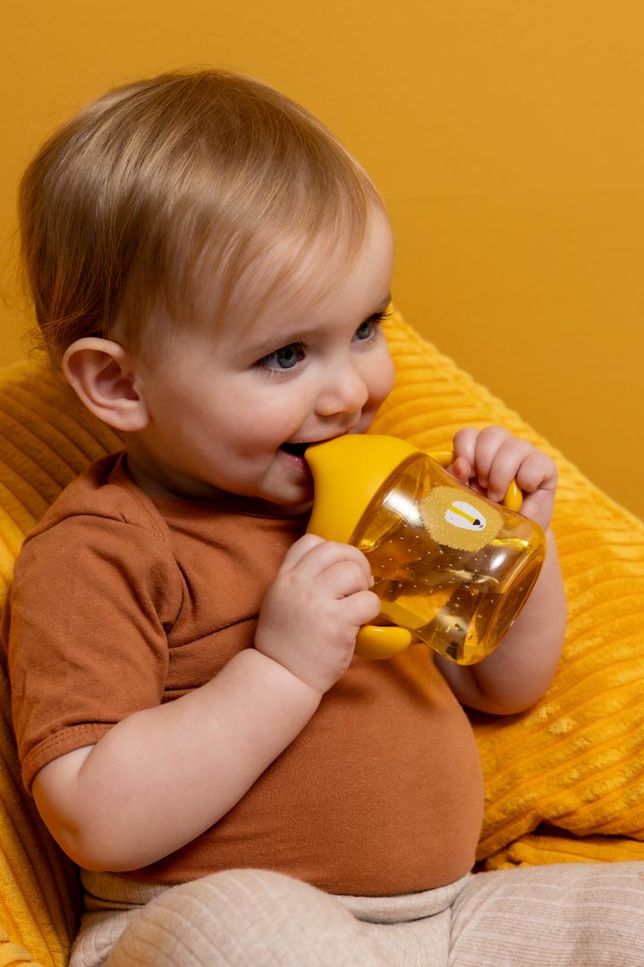 TRIXIE SIPPY CUP WITH HANDLES MR. LION