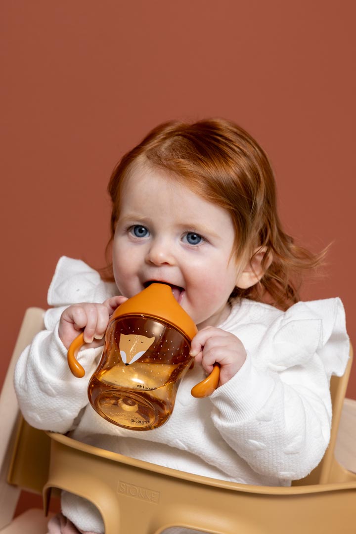 TRIXIE SIPPY CUP WITH HANDLES MR. FOX