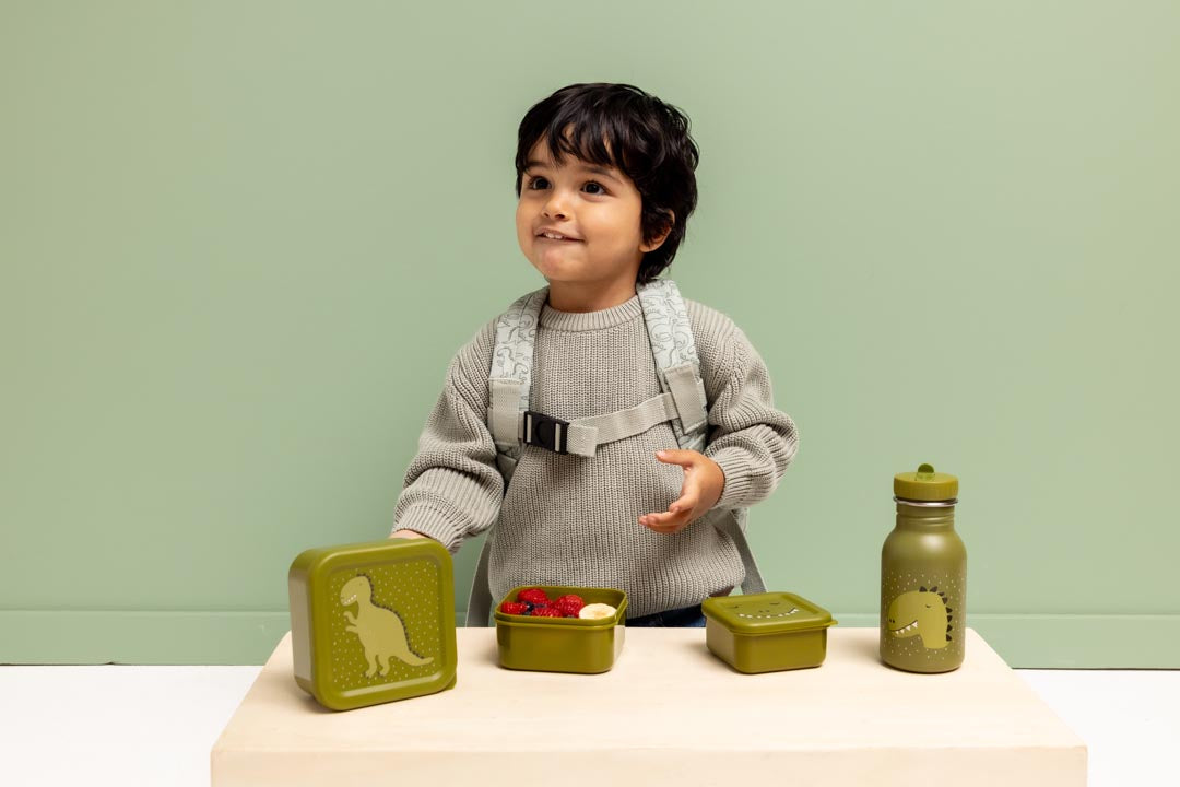 TRIXIE SNACK BOX NESTING 3 PCS MR. DINO