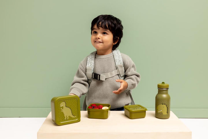 TRIXIE SNACK BOX NESTING 3 PCS MR. DINO