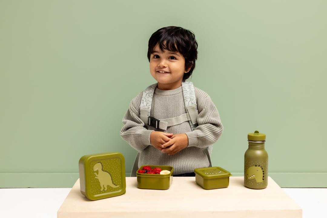 TRIXIE SNACK BOX NESTING 3 PCS MR. DINO