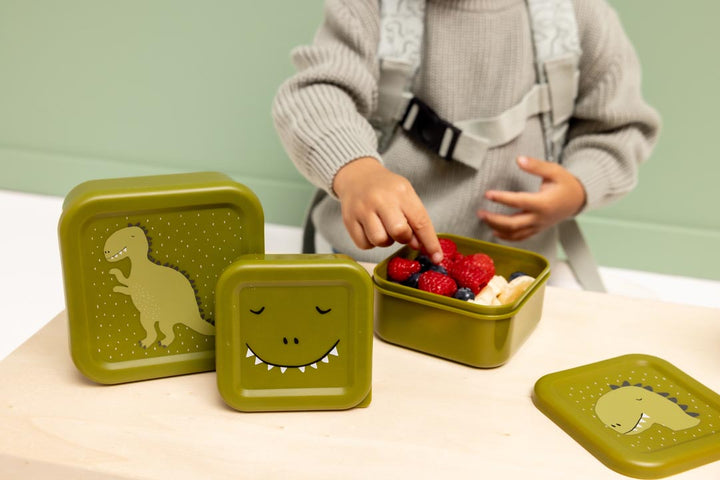 TRIXIE SNACK BOX NESTING 3 PCS MR. DINO