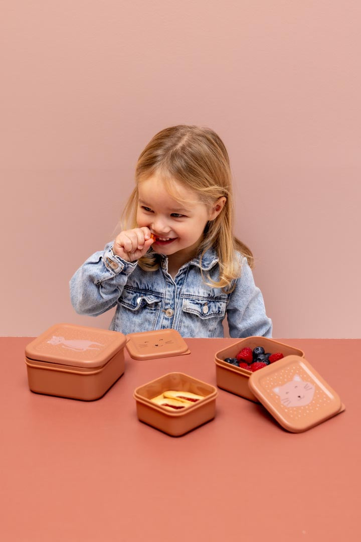TRIXIE SNACK BOX NESTING 3 PCS MRS. CAT