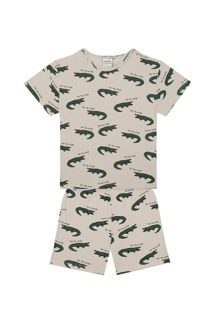 Antebies Timsah Kısa Kollu Tshirt Şort Takım
