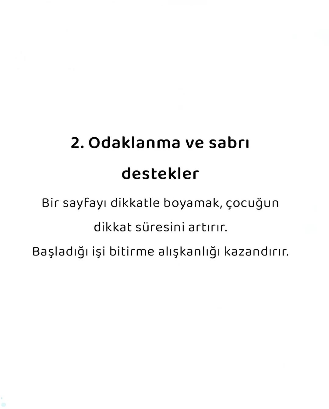 BIZDIK BOYAMA - ARI