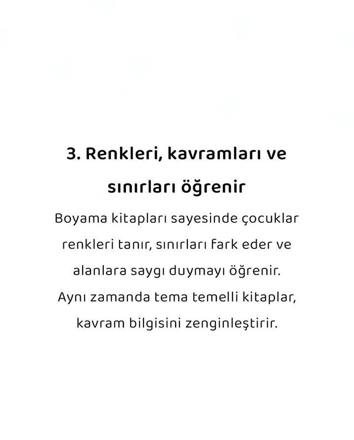 BIZDIK BOYAMA - ARI