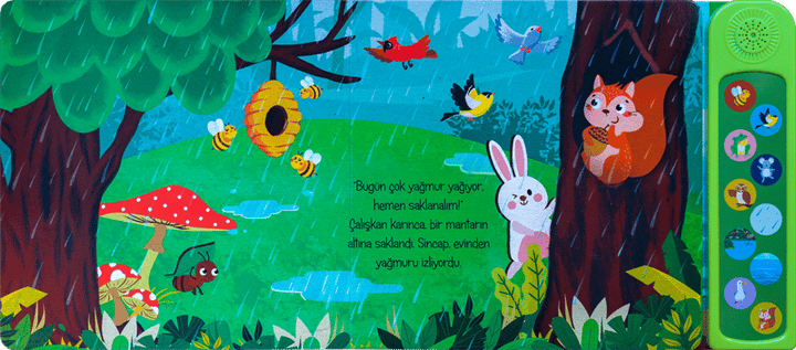 HAYDİ SESİMİ DİNLE - DOĞADA