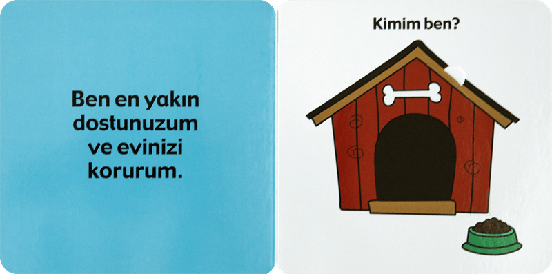SÜRPRİZLİ KİTAPLAR-HAYVANLAR