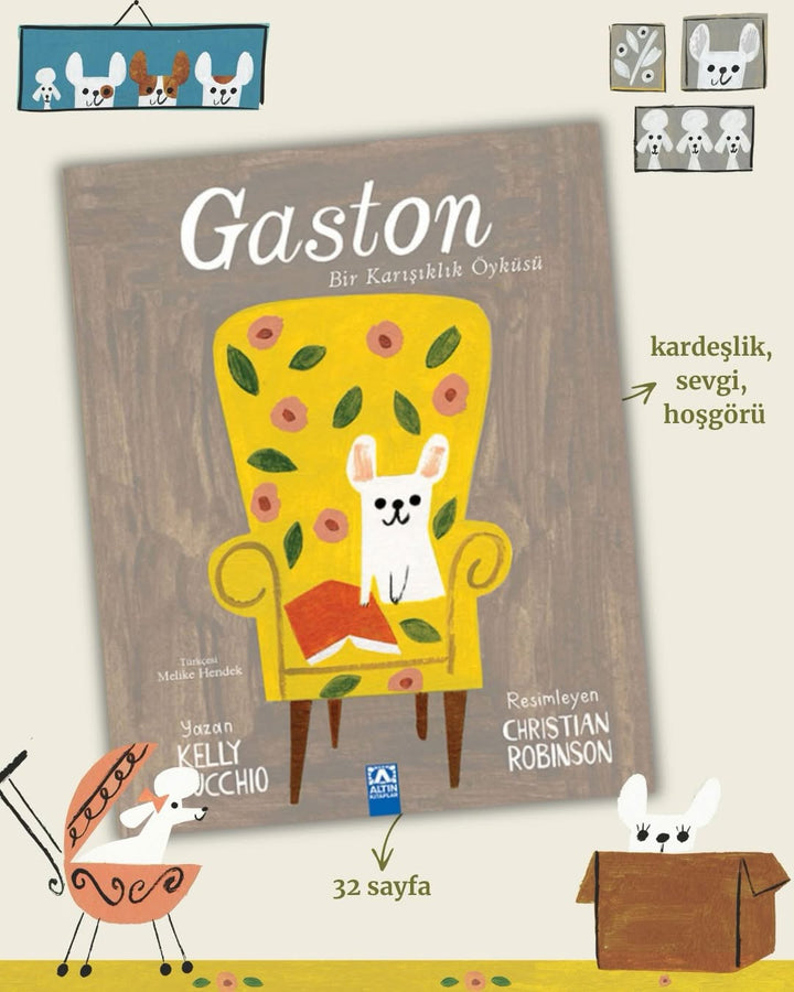 GASTON BIR KARISIKLIK ÖYKÜSÜ