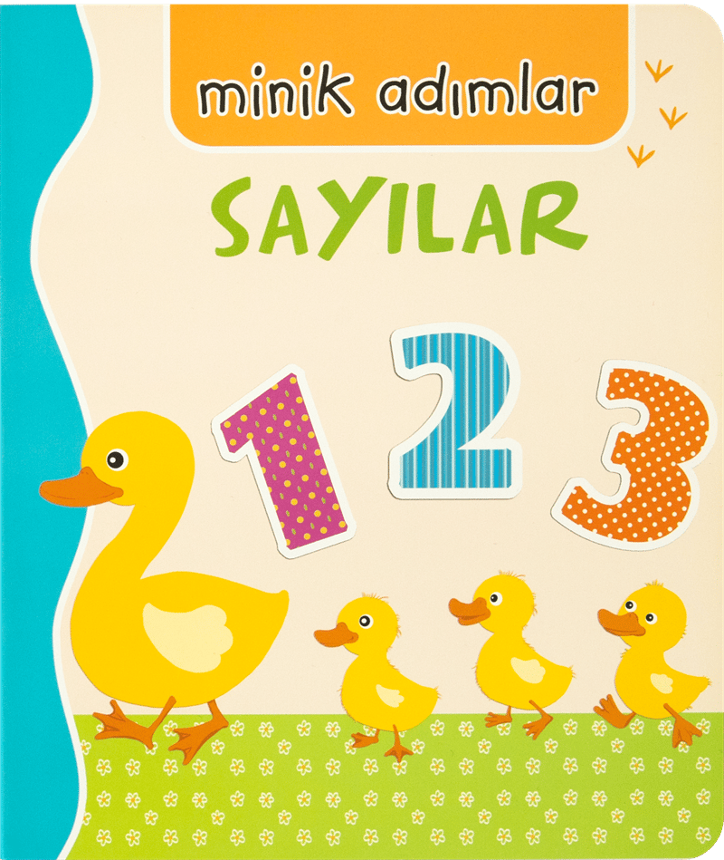 MİNİK ADIMLAR - SAYILAR