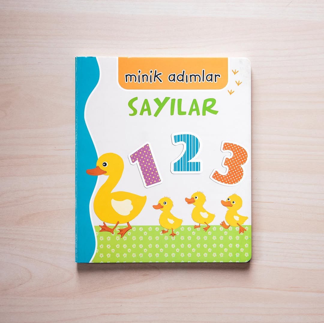 MİNİK ADIMLAR - SAYILAR