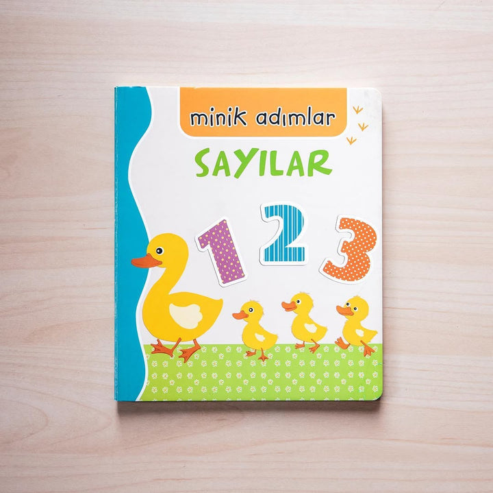 MİNİK ADIMLAR - SAYILAR