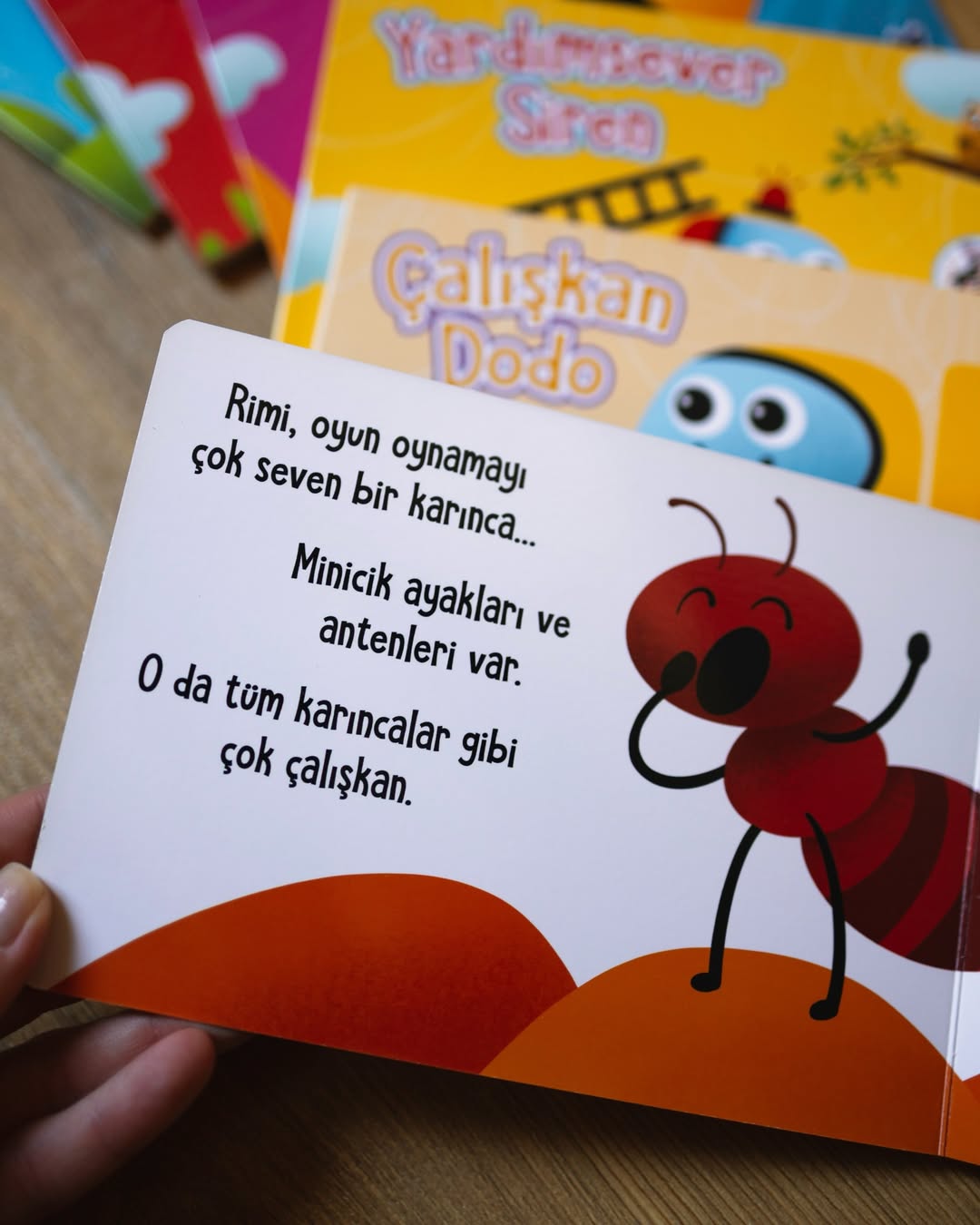 MUTLU ARKADAŞLAR-ÇALIŞKAN RİMİ