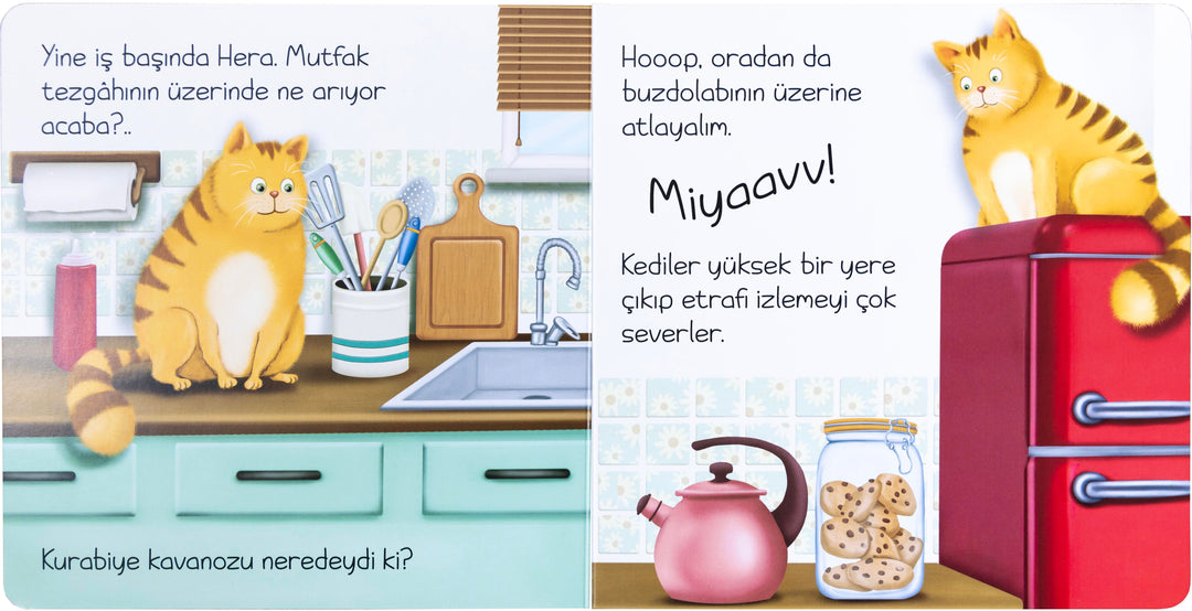 YARAMAZ UFAKLIKLAR - SARMAN KEDİ HERA