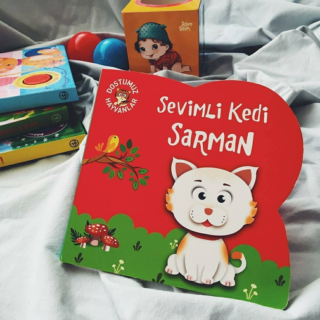 SEVİMLİ KEDİ SARMAN