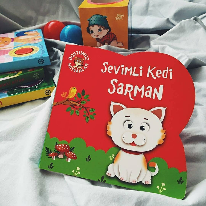 SEVİMLİ KEDİ SARMAN