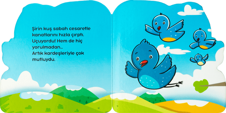 ŞİRİN HİKAYELER - ŞİRİN KUŞ
