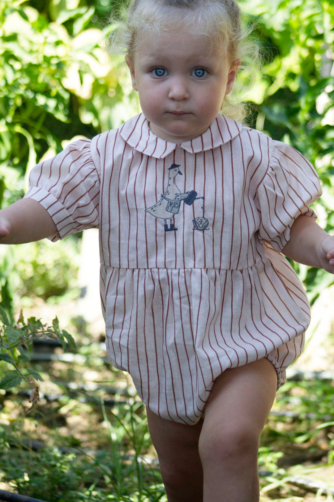 Organic Striped &