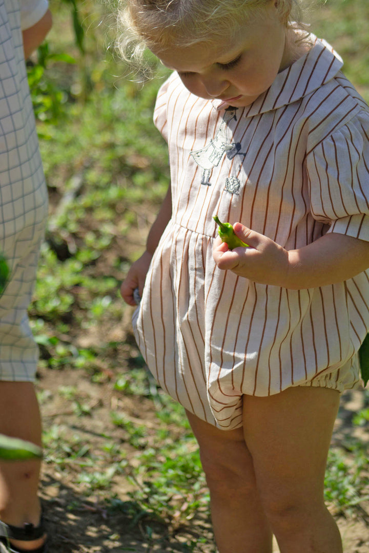 Organic Striped &