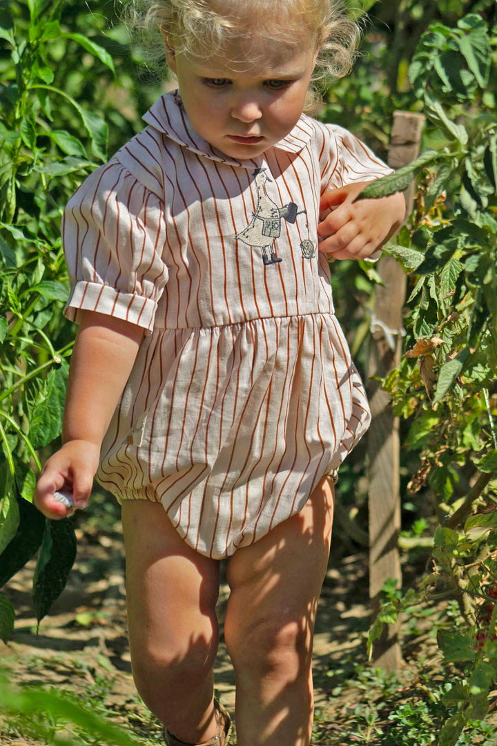 Organic Striped &