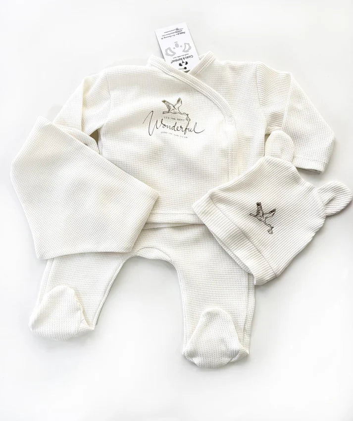 COALA BAMBOO 5&