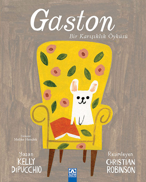 GASTON BIR KARISIKLIK ÖYKÜSÜ