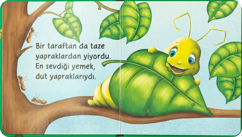 MİNİK HİKAYELER-PITIR TIRTIL