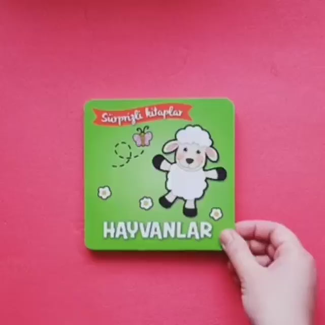 SÜRPRİZLİ KİTAPLAR-HAYVANLAR