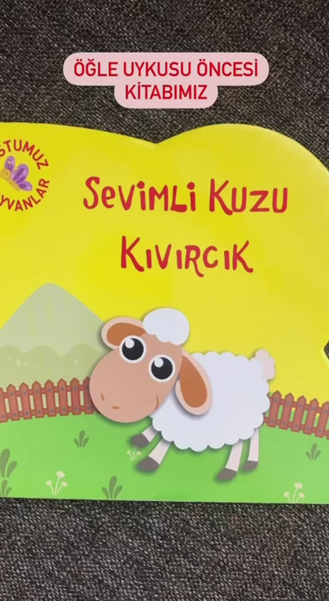 SEVİMLİ KUZU KIVIRCIK