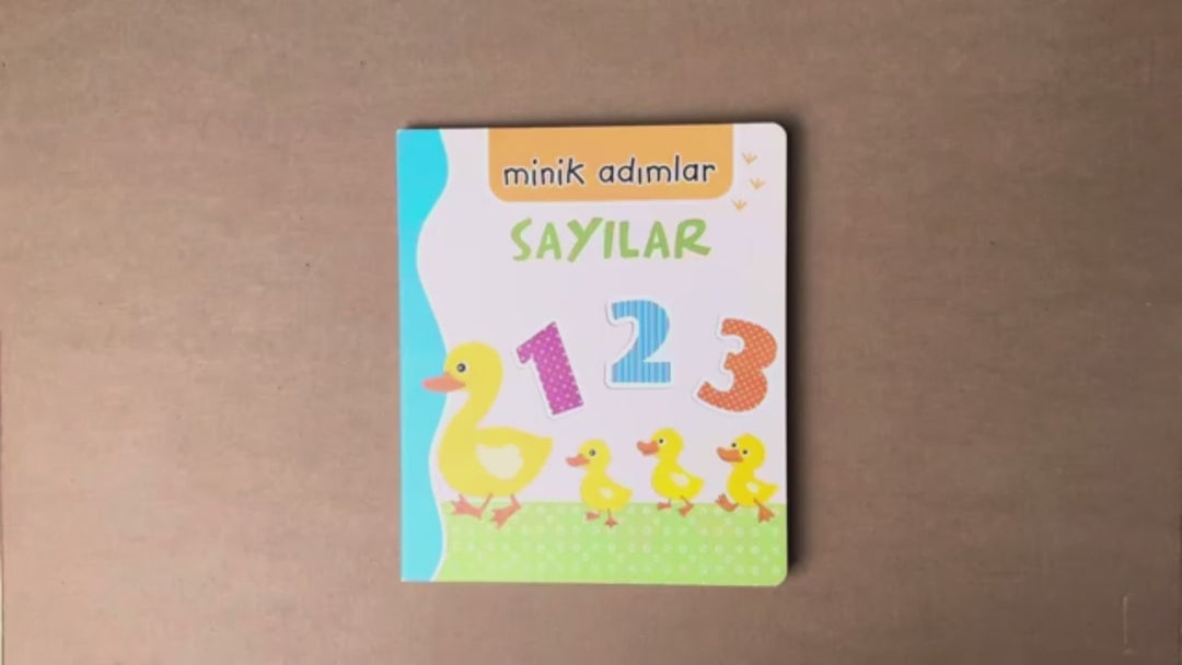MİNİK ADIMLAR - SAYILAR