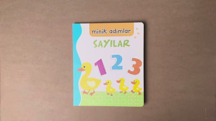 MİNİK ADIMLAR - SAYILAR