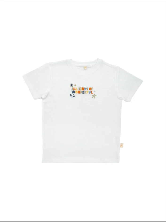 Wonderful Embroidered T Shirt